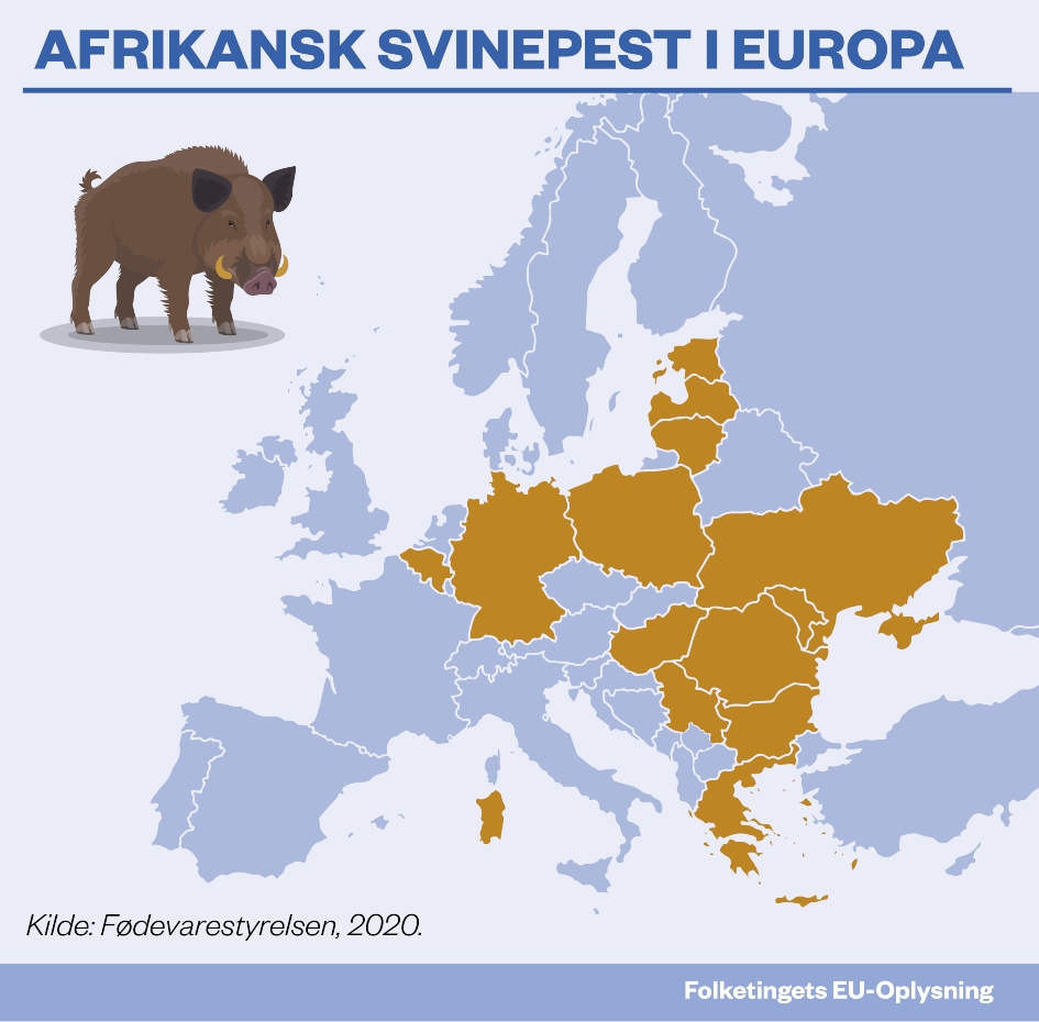 Kort over Europa med lande der har svinepest