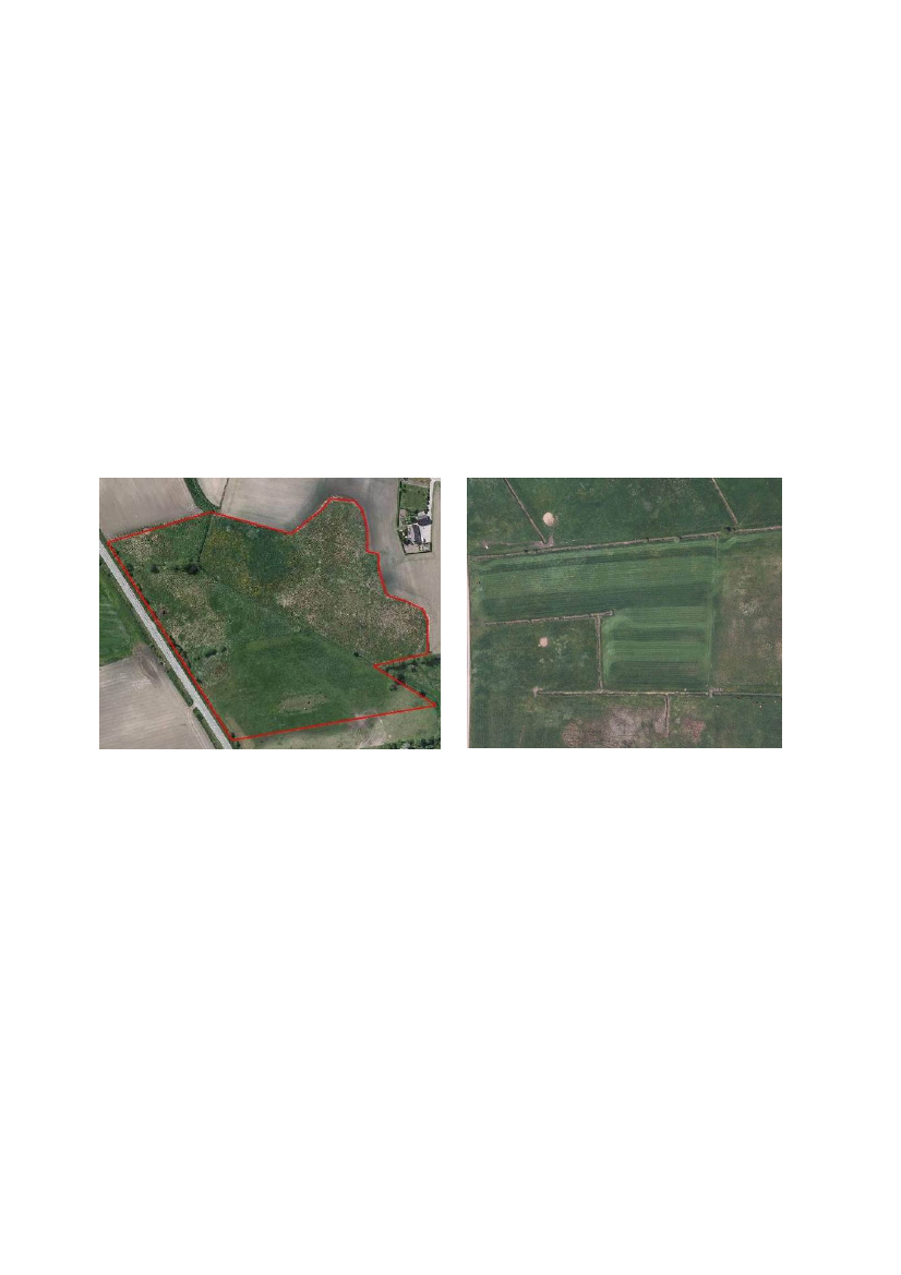 1497242_0015.png