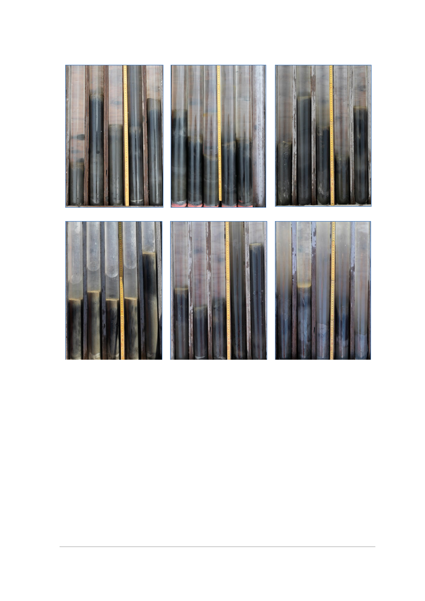 2858338_0303.png