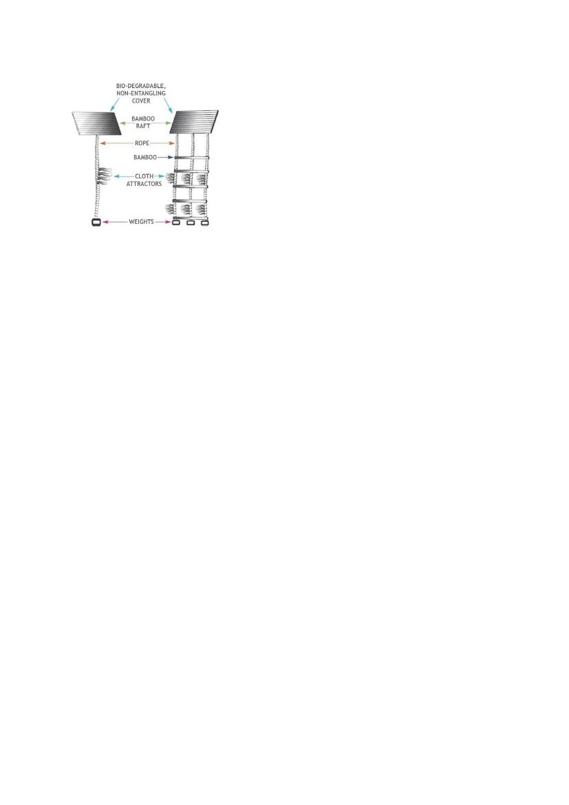 3018749_0081.png