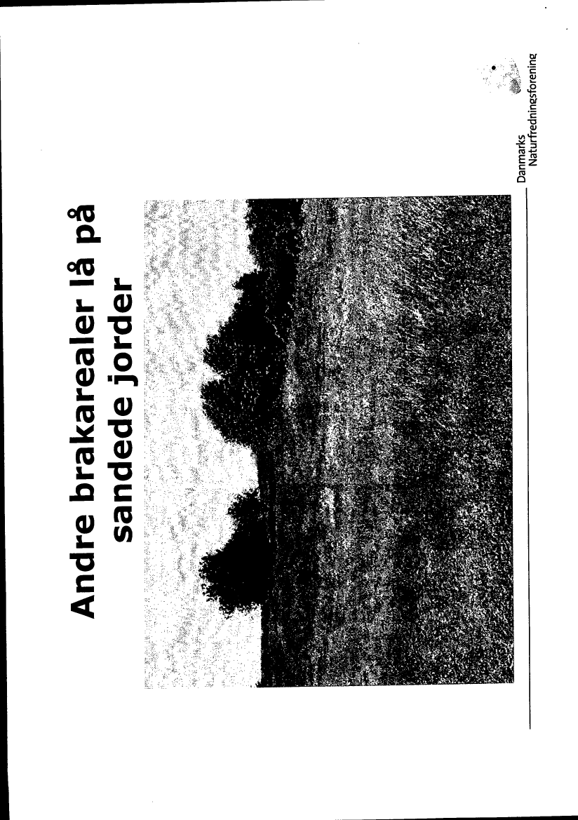 688731_0038.png