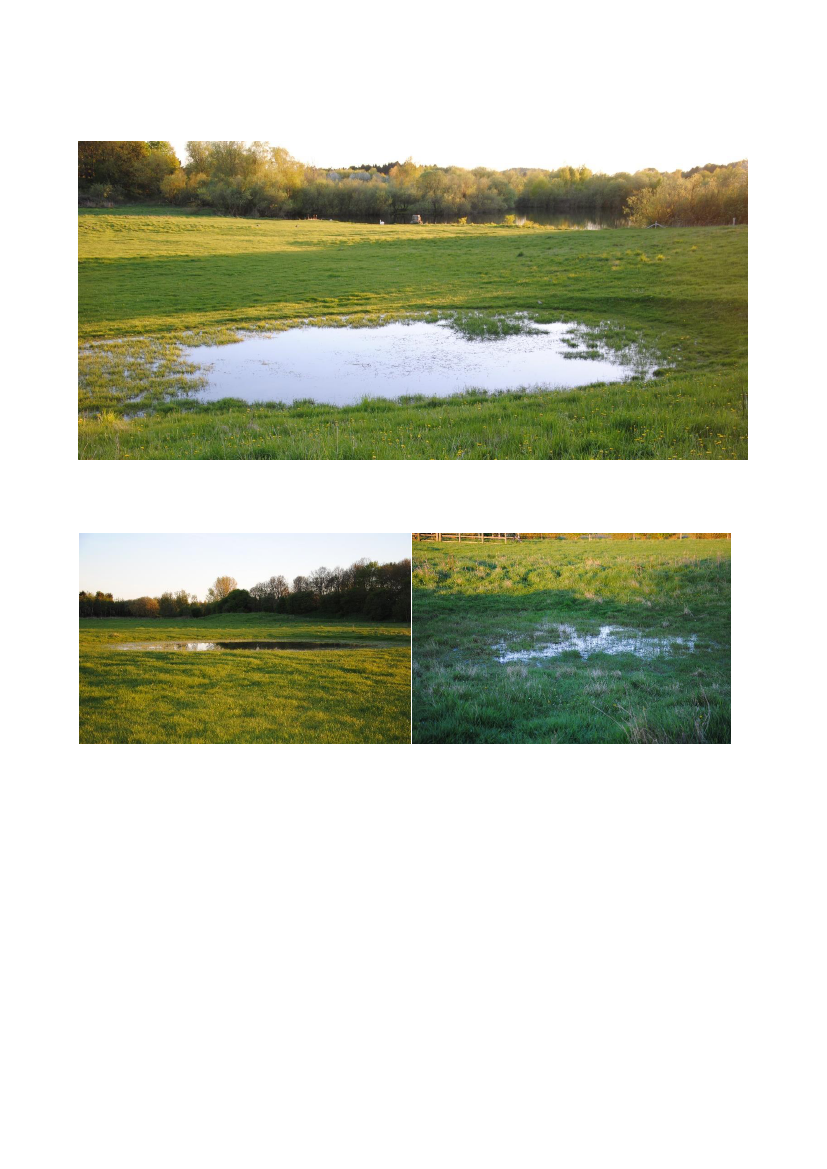 2830947_0041.png