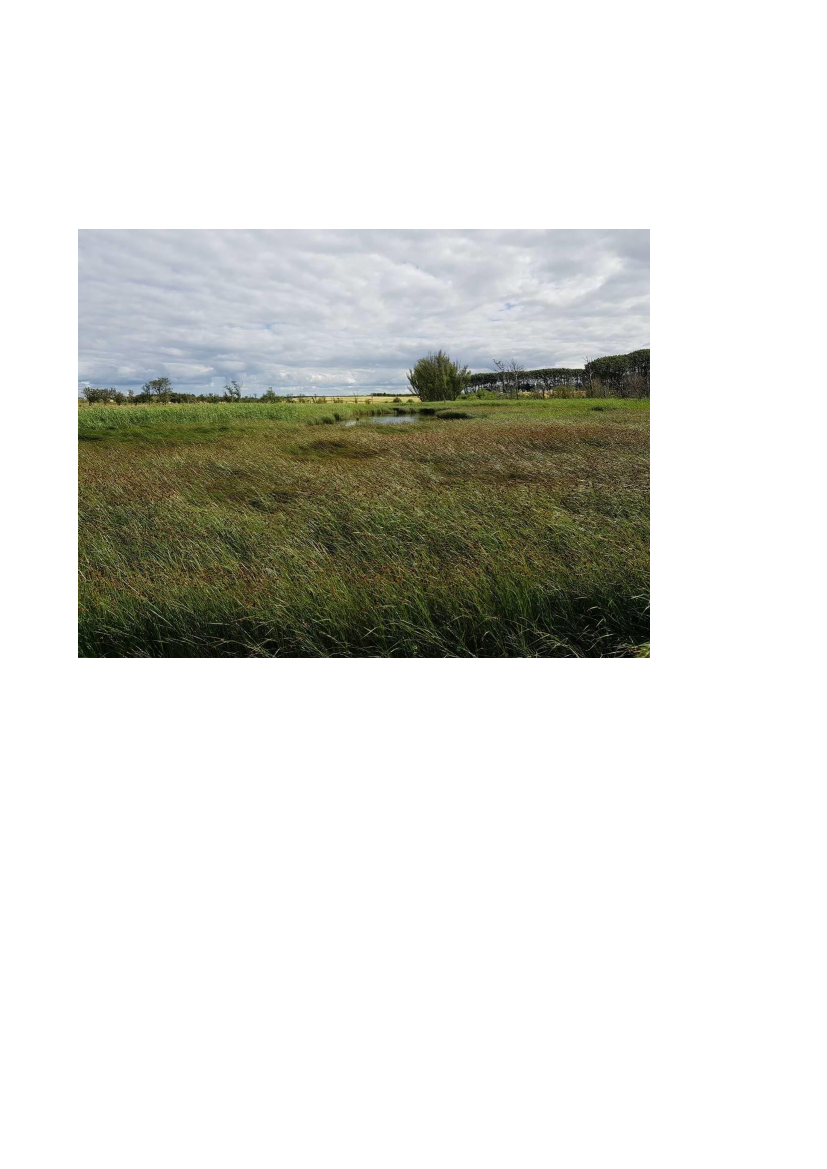 2830947_0052.png