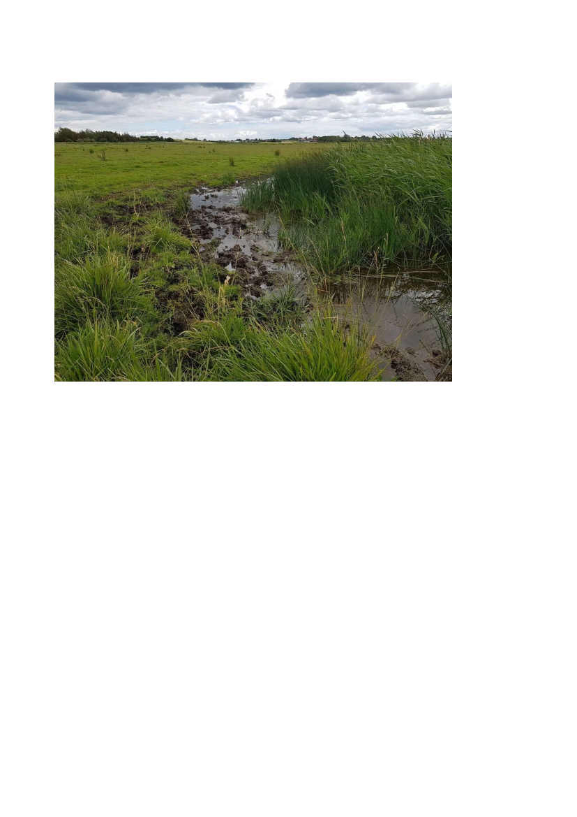 2830947_0062.png