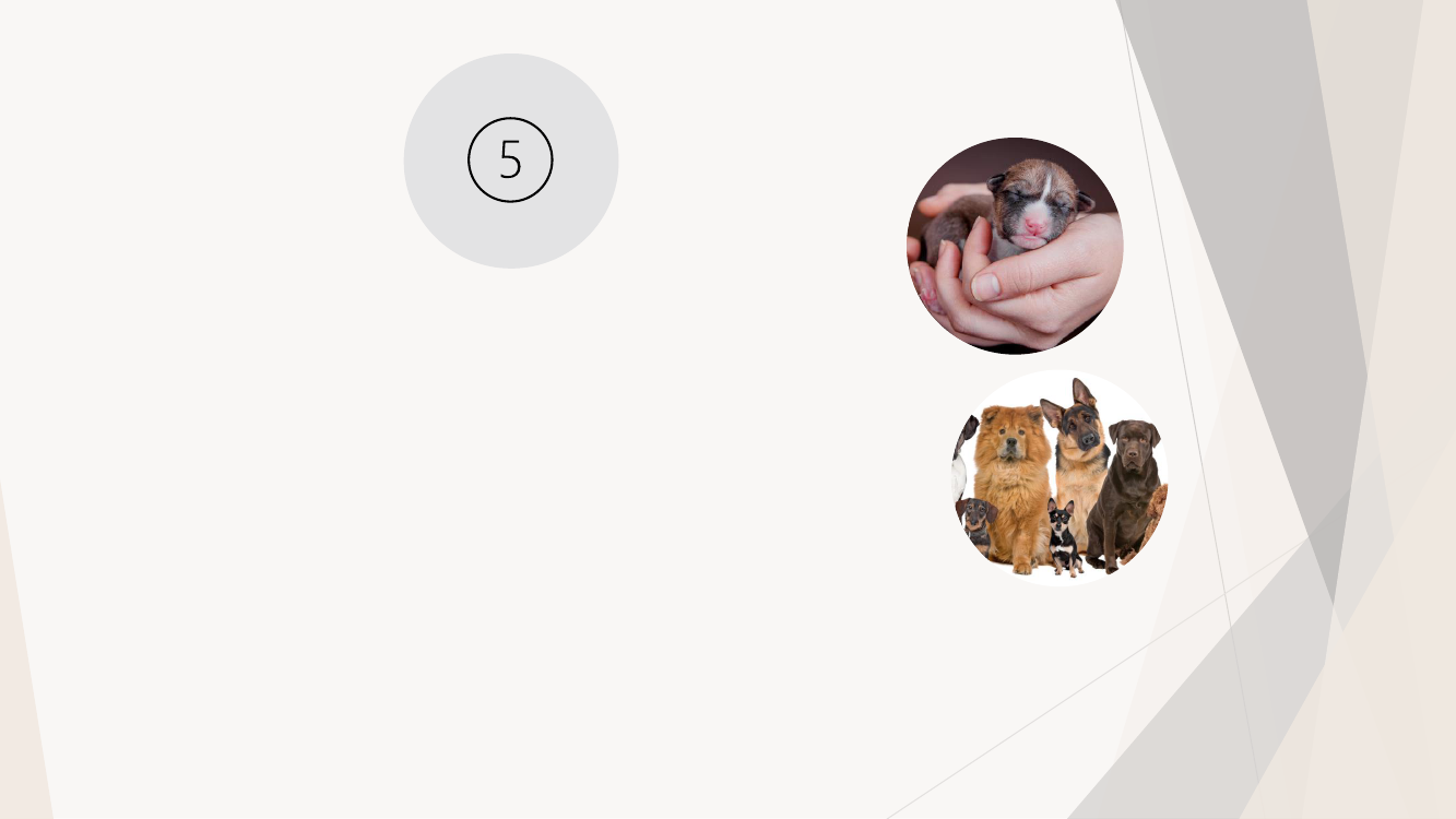 2847092_0007.png