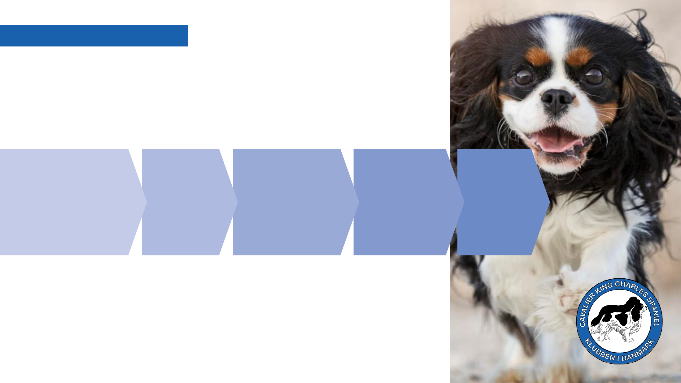 2848913_0012.png