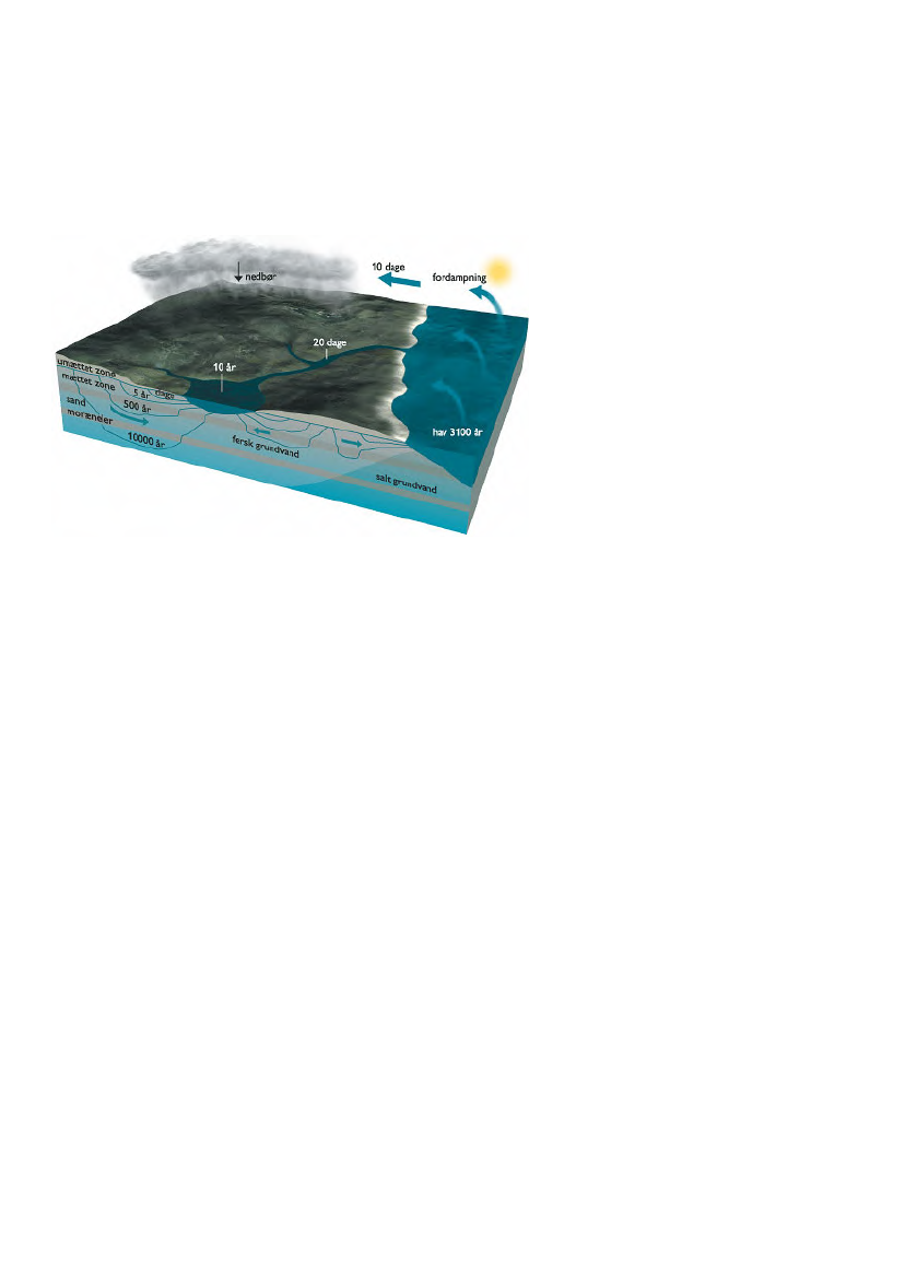 2995963_0012.png