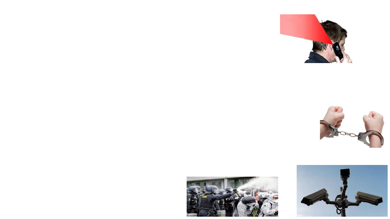 3029397_0015.png