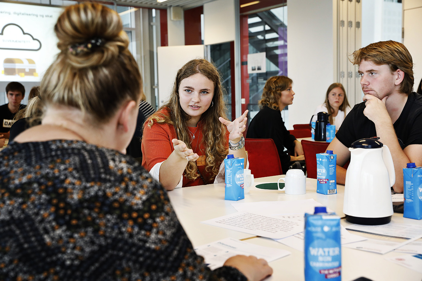 Tirsdag den 11. september 2018 blev der diskuteret globalisering og klima i Alsion i Sønderborg. Det inviterede panel bestod af 80 unge mellem 18 og 25 år.